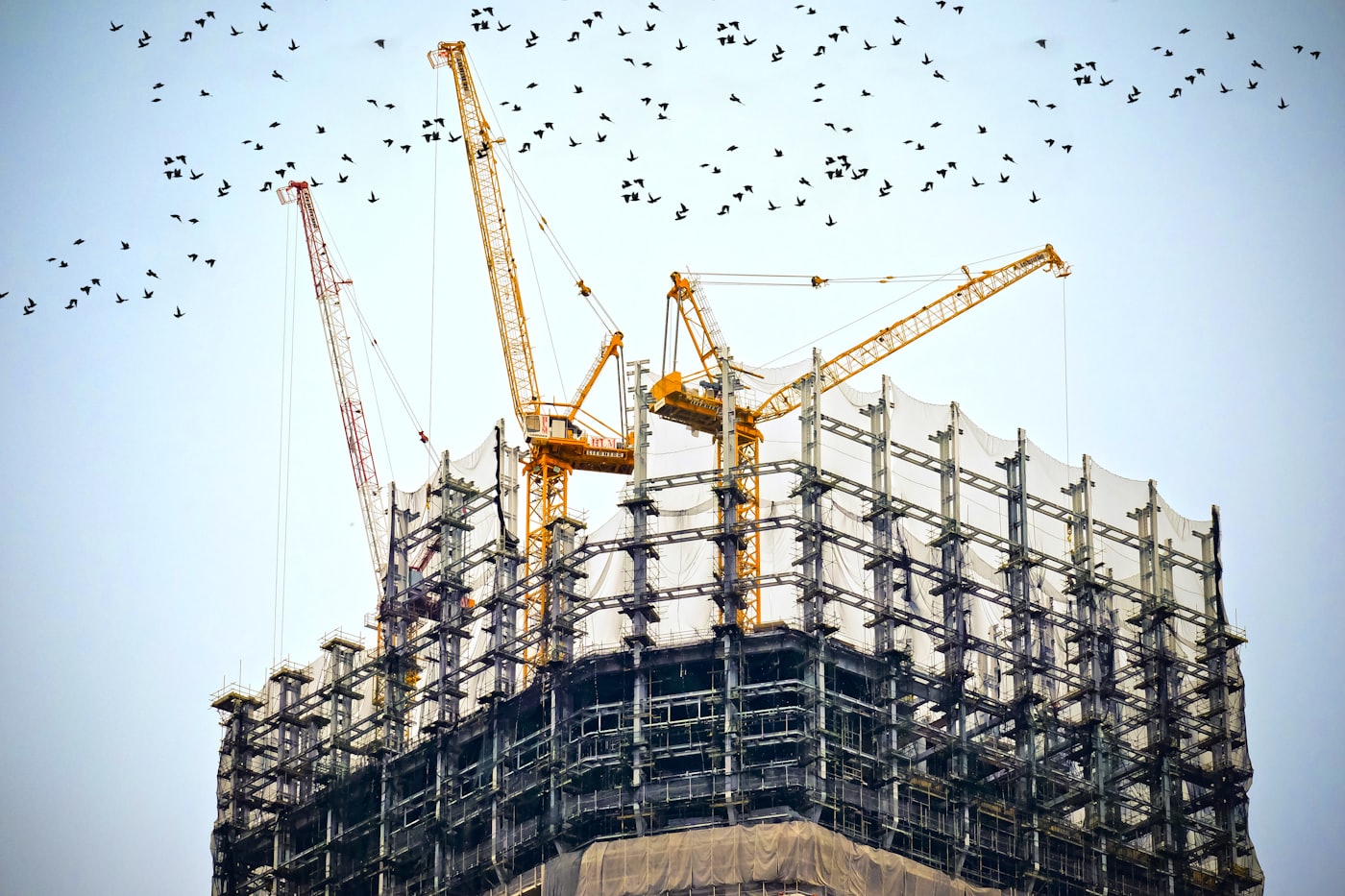 Tower cranes over a commercial build